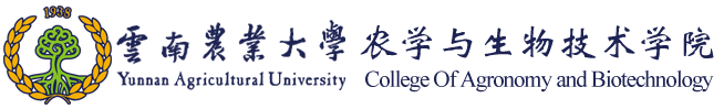 伟德国际victor1946官网